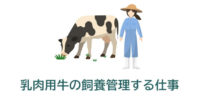 乳肉用牛の飼養管理する仕事（畜産技術職）