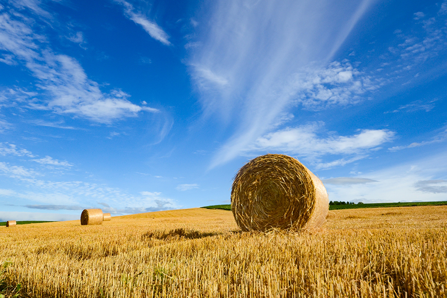 北海道の農業を支える、公社の仕事の紹介。
