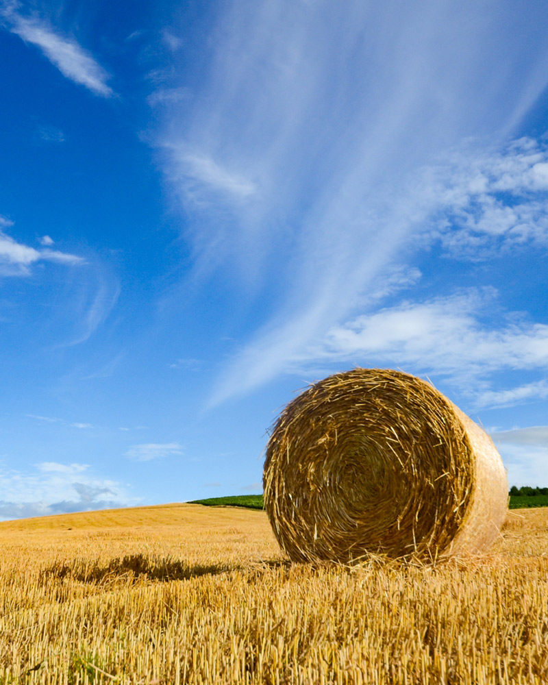 北海道の農業が持続的に発展するために