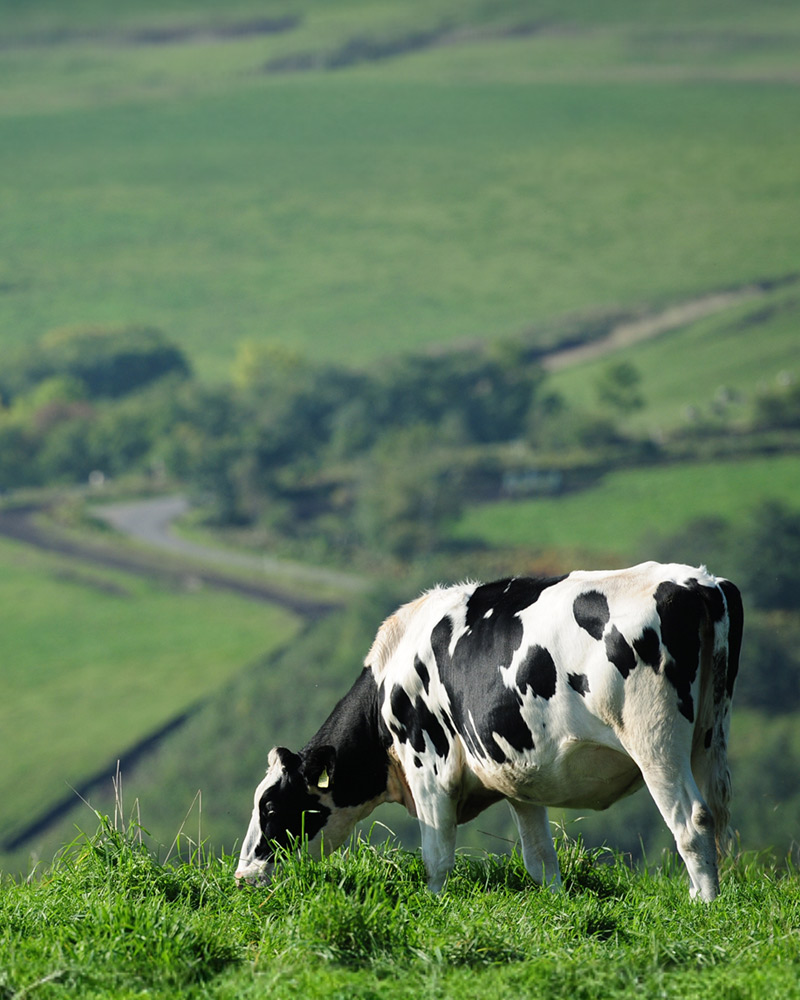 北海道の農業が持続的に発展するために