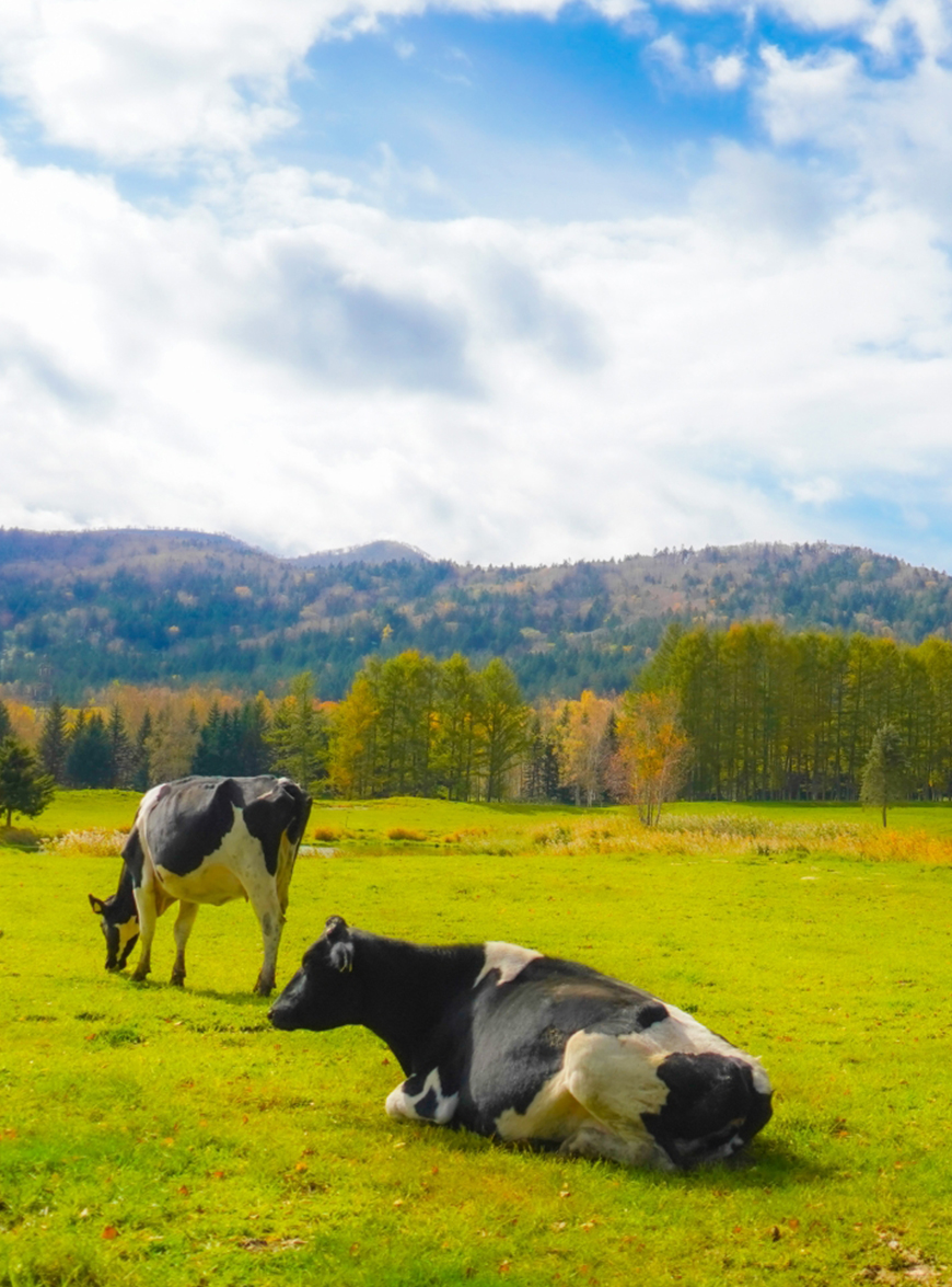 北海道農業公社