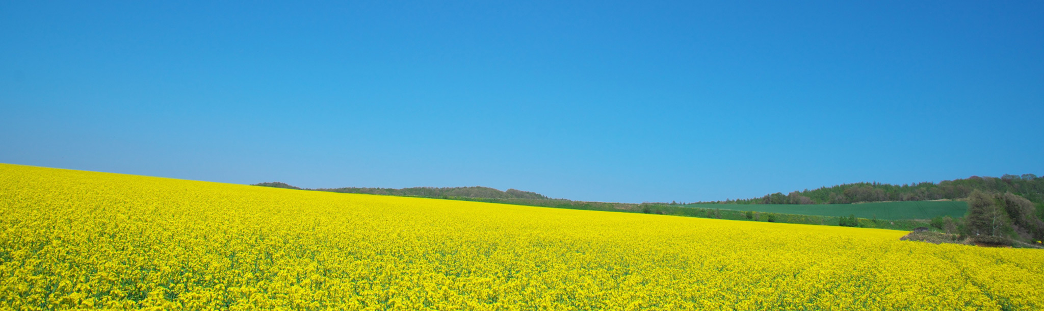 北海道の農業が持続的に発展するために