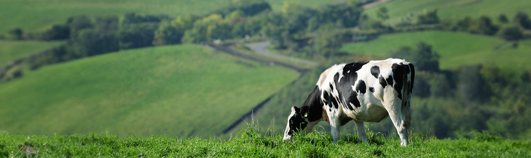 北海道の農業が持続的に発展するために