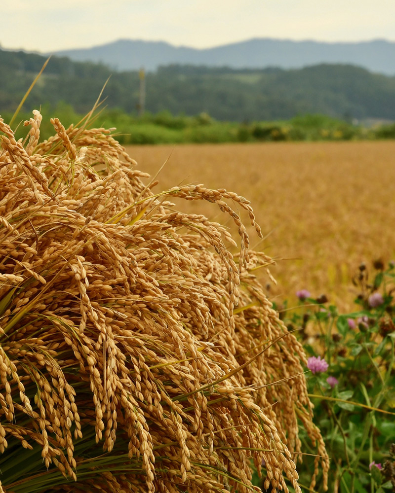 北海道の農業が持続的に発展するために