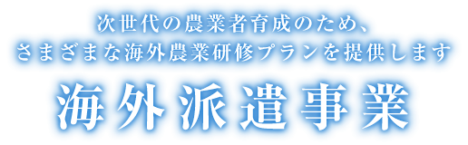 海外派遣事業